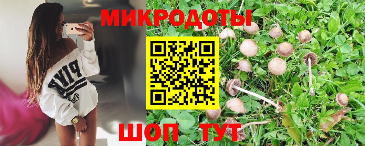 Псилоцибиновые грибы Cubensis  Галлюциногенные грибы мухоморы  Вход с VPN  Нягань 